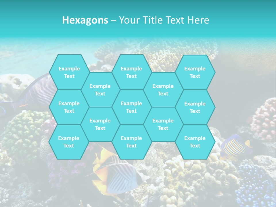 Aquarium Underwater Sea PowerPoint Template