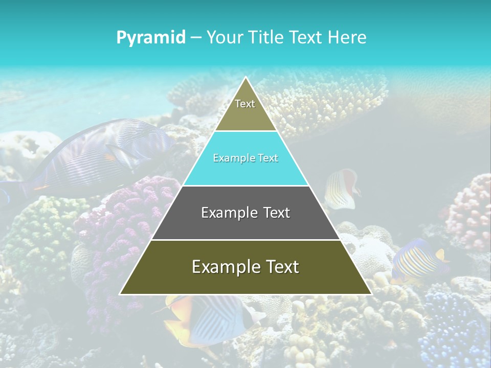 Aquarium Underwater Sea PowerPoint Template