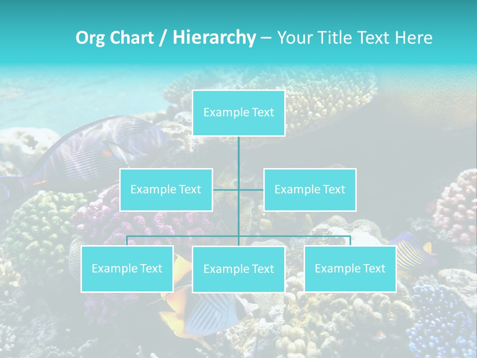 Aquarium Underwater Sea PowerPoint Template