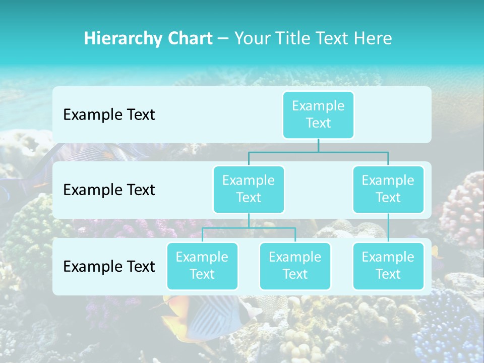 Aquarium Underwater Sea PowerPoint Template