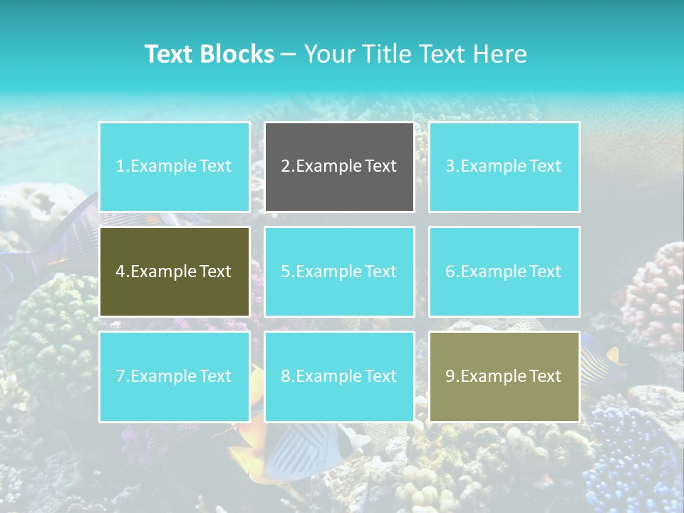 Aquarium Underwater Sea PowerPoint Template