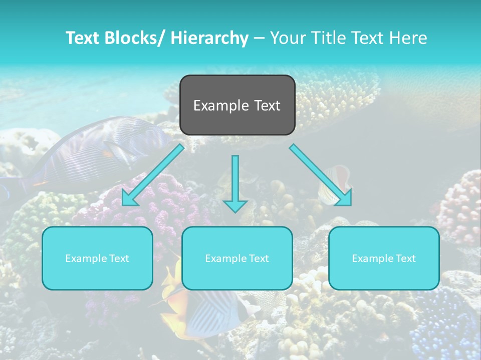 Aquarium Underwater Sea PowerPoint Template