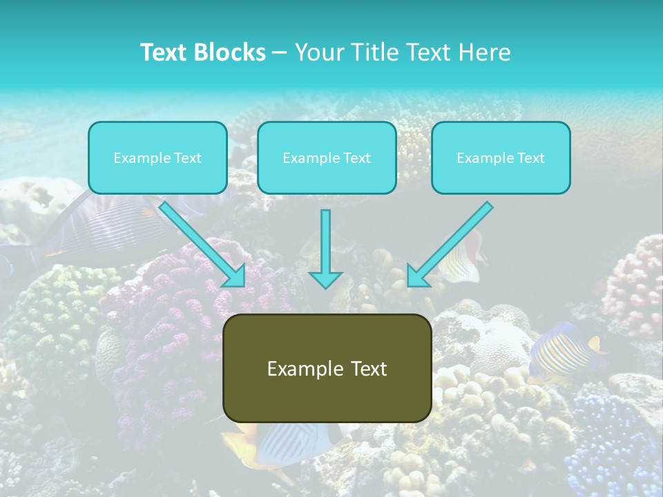 Aquarium Underwater Sea PowerPoint Template