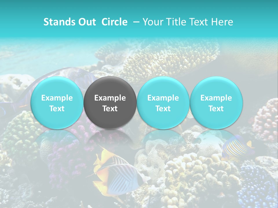 Aquarium Underwater Sea PowerPoint Template