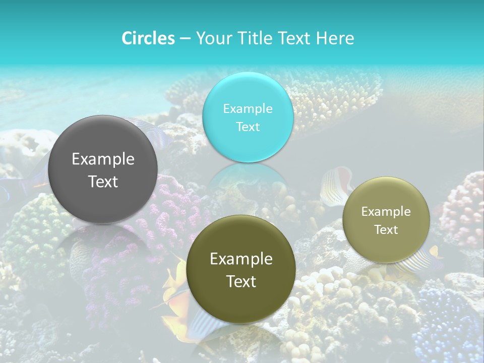 Aquarium Underwater Sea PowerPoint Template