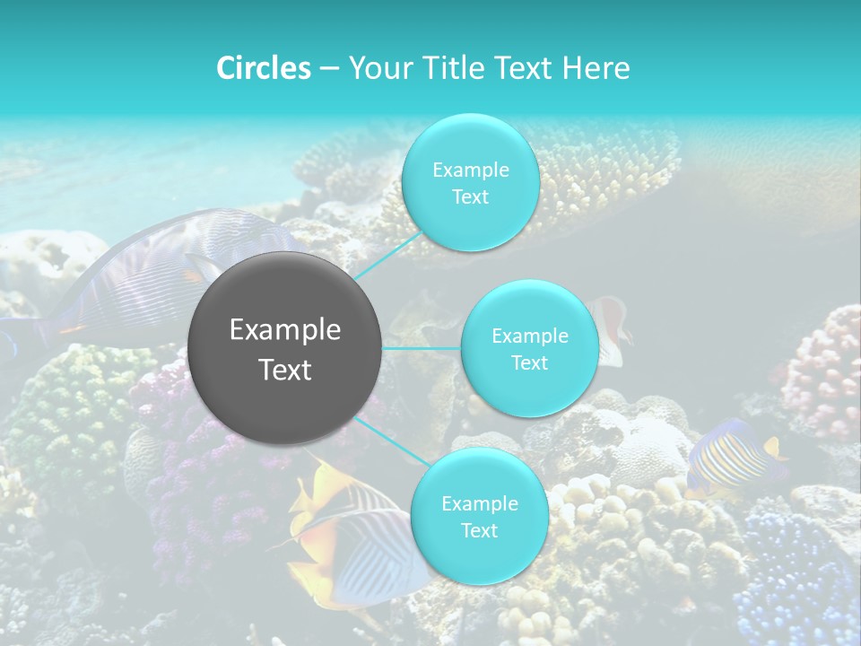 Aquarium Underwater Sea PowerPoint Template