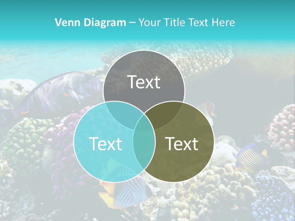 Aquarium Underwater Sea PowerPoint Template