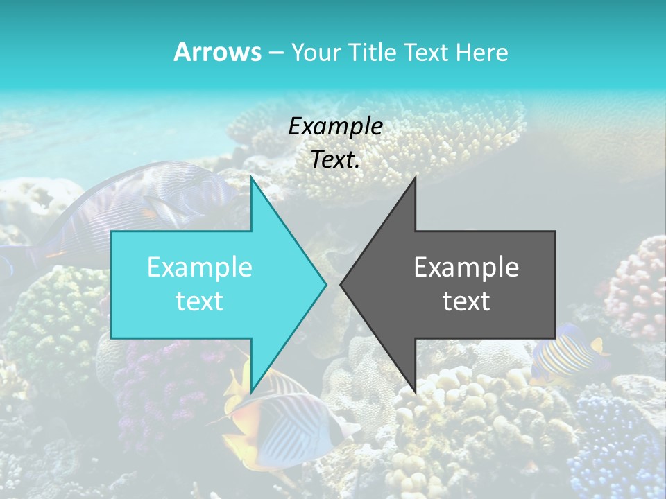 Aquarium Underwater Sea PowerPoint Template