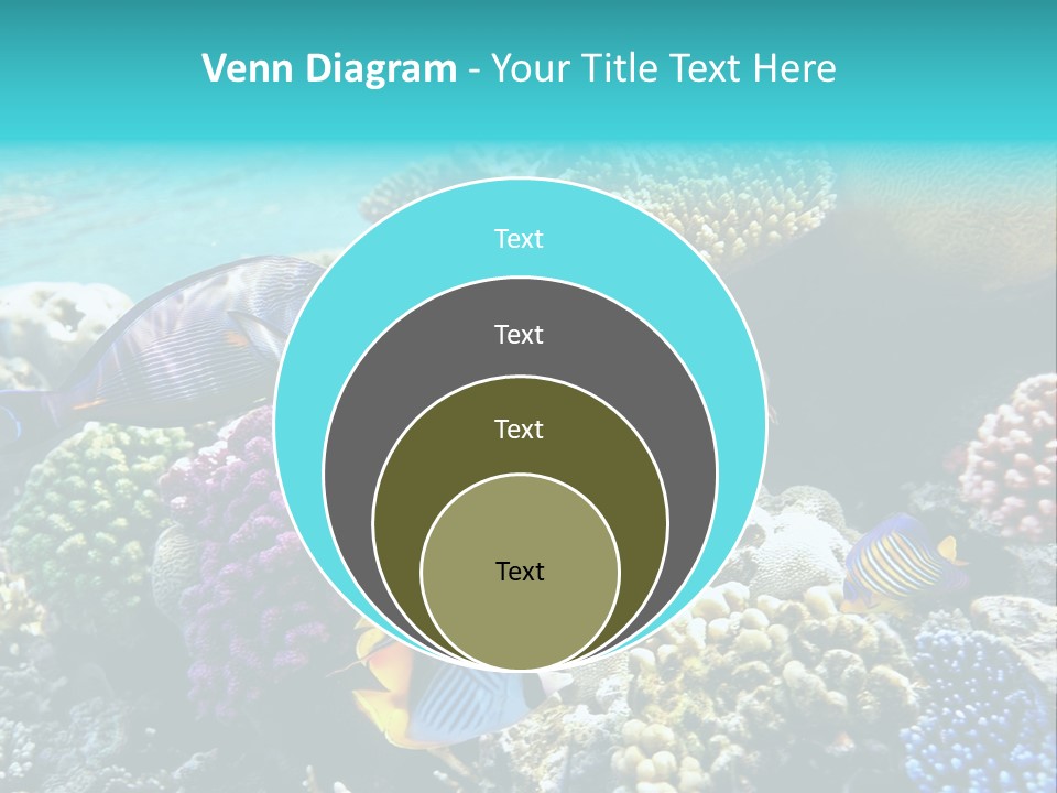 Aquarium Underwater Sea PowerPoint Template