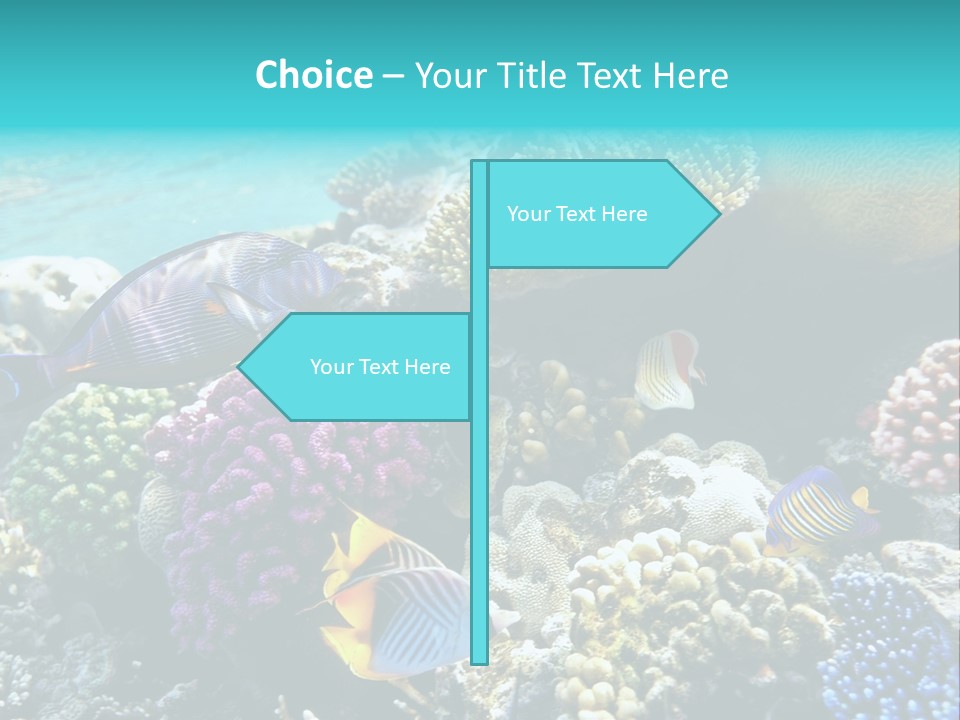 Aquarium Underwater Sea PowerPoint Template