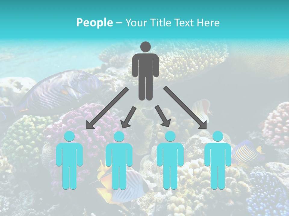 Aquarium Underwater Sea PowerPoint Template