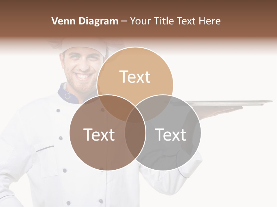 Professional Carry Handsome PowerPoint Template