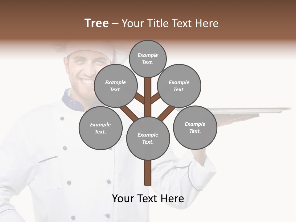 Professional Carry Handsome PowerPoint Template