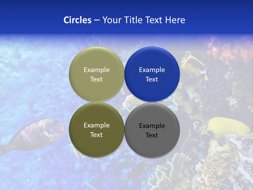 Wild Aquatic Tropic PowerPoint Template