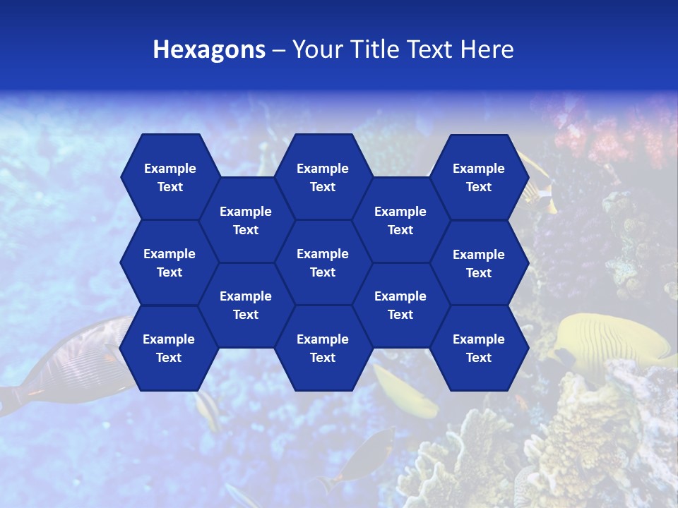 Wild Aquatic Tropic PowerPoint Template