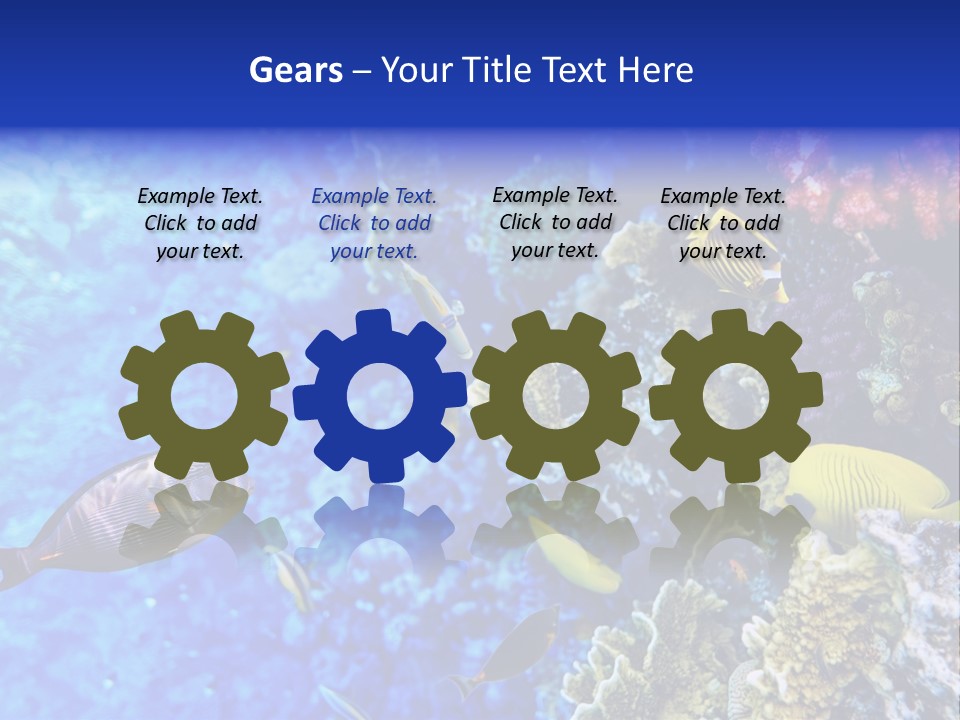 Wild Aquatic Tropic PowerPoint Template