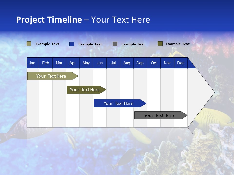 Wild Aquatic Tropic PowerPoint Template