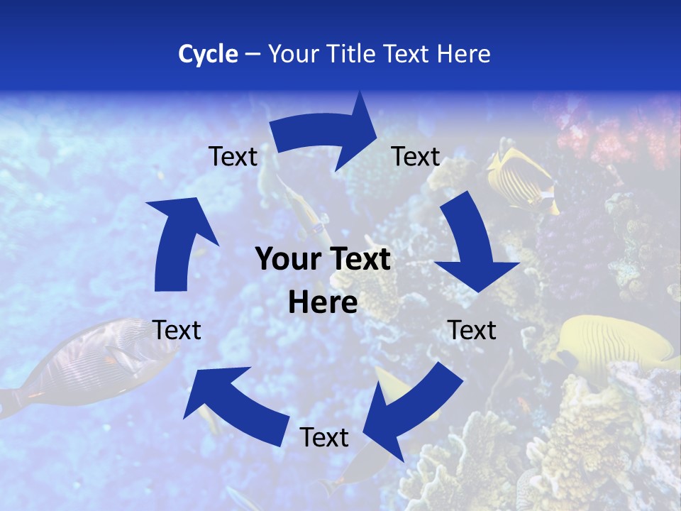 Wild Aquatic Tropic PowerPoint Template