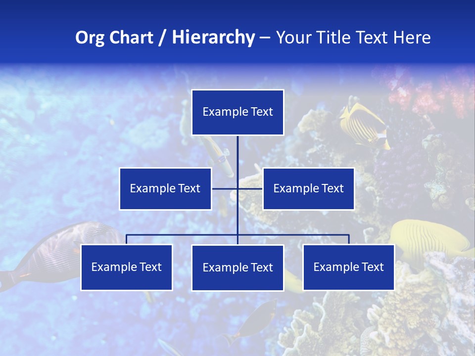 Wild Aquatic Tropic PowerPoint Template