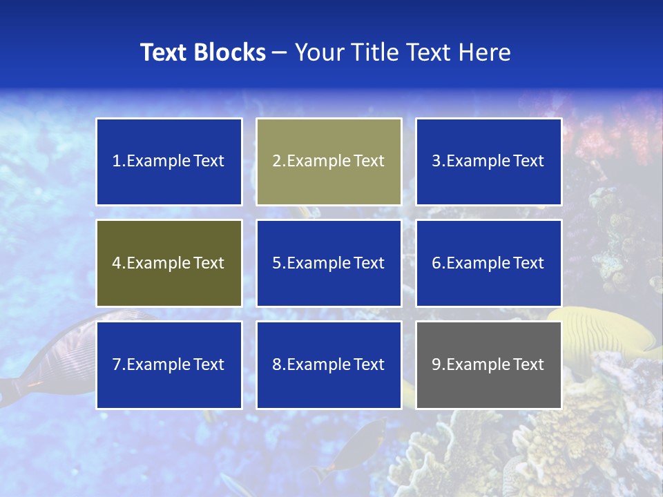 Wild Aquatic Tropic PowerPoint Template