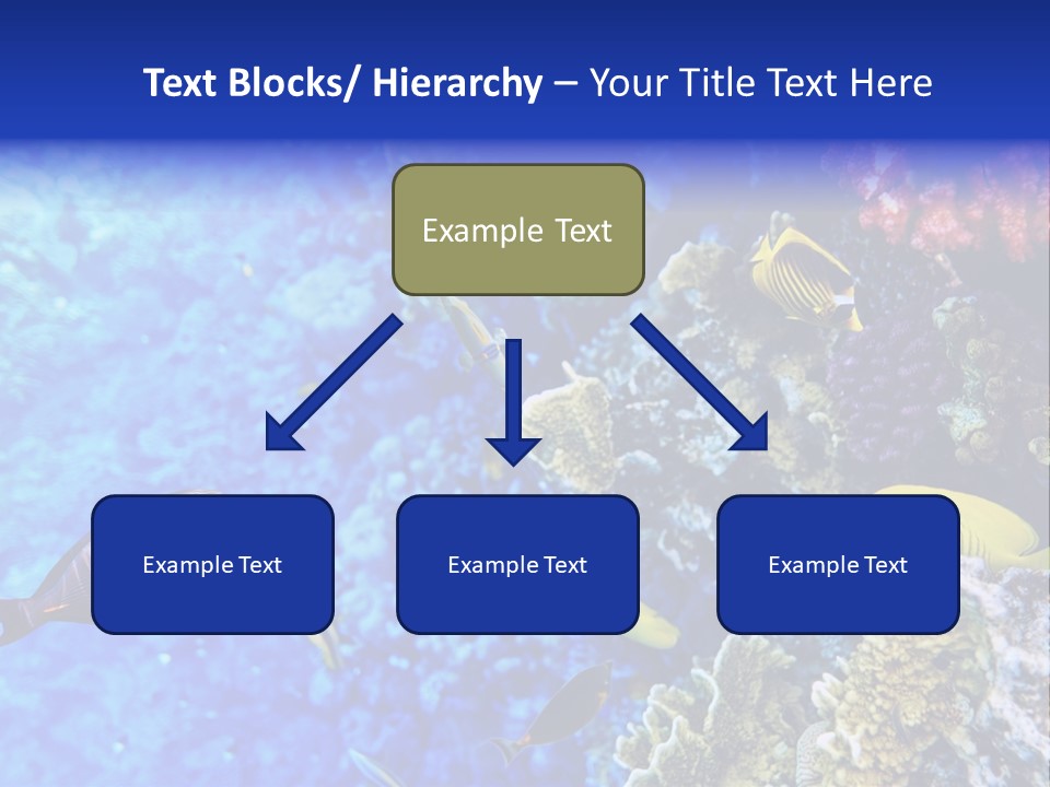 Wild Aquatic Tropic PowerPoint Template