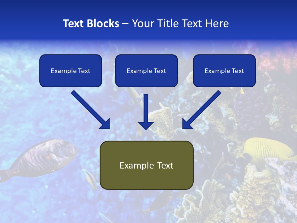 Wild Aquatic Tropic PowerPoint Template