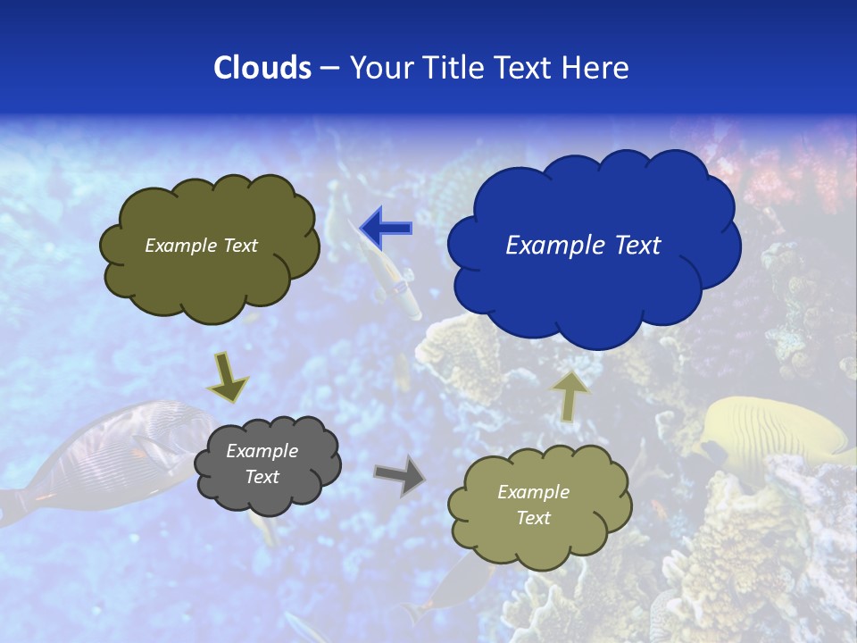 Wild Aquatic Tropic PowerPoint Template