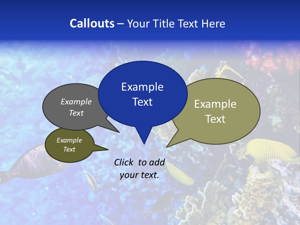 Wild Aquatic Tropic PowerPoint Template