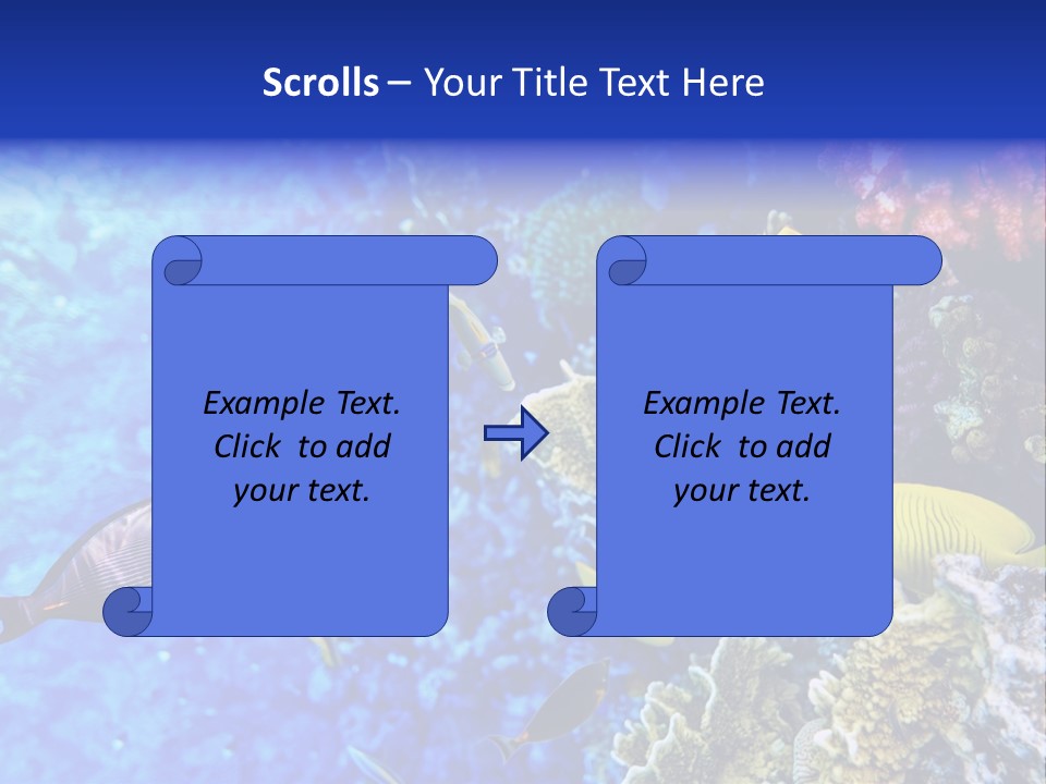 Wild Aquatic Tropic PowerPoint Template