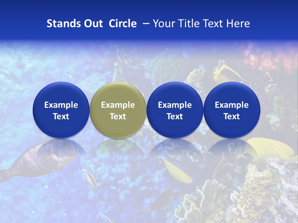 Wild Aquatic Tropic PowerPoint Template