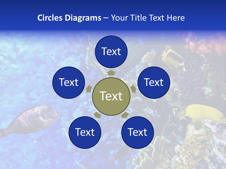 Wild Aquatic Tropic PowerPoint Template