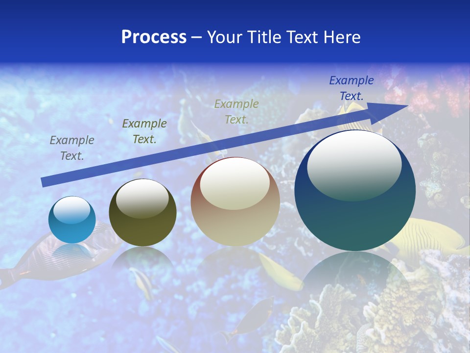 Wild Aquatic Tropic PowerPoint Template