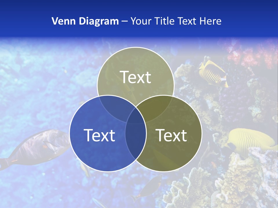 Wild Aquatic Tropic PowerPoint Template