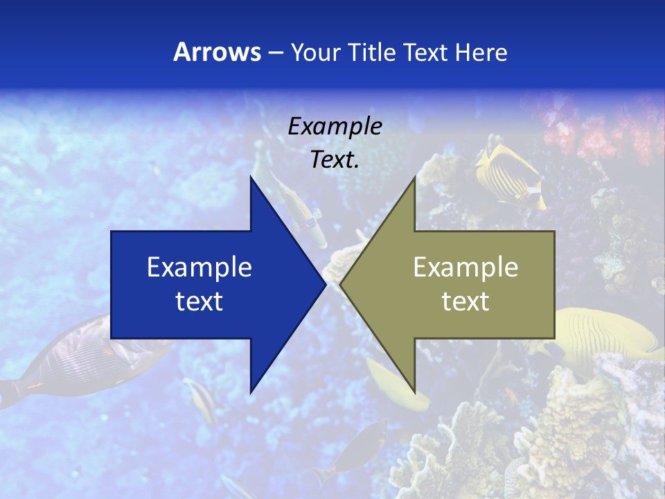 Wild Aquatic Tropic PowerPoint Template