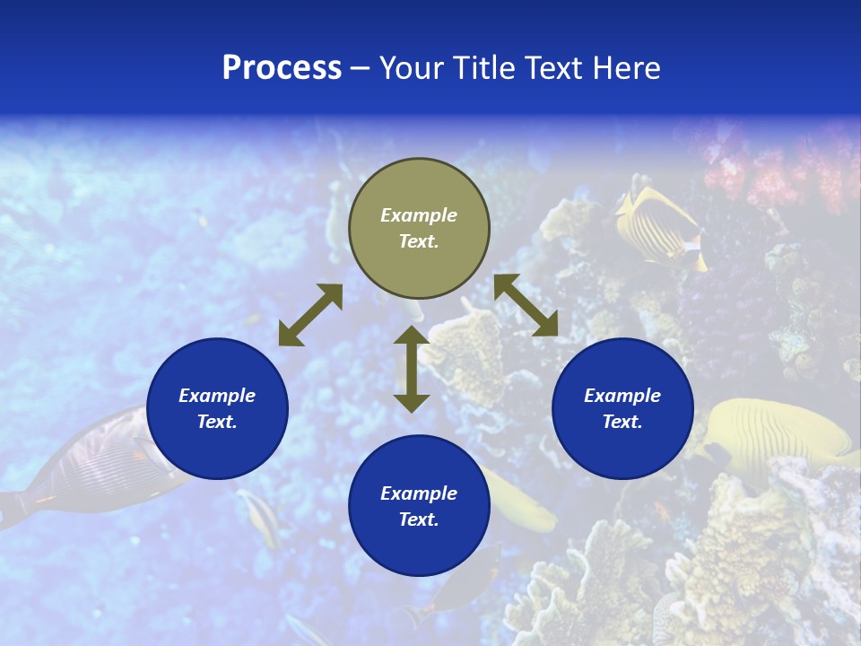 Wild Aquatic Tropic PowerPoint Template