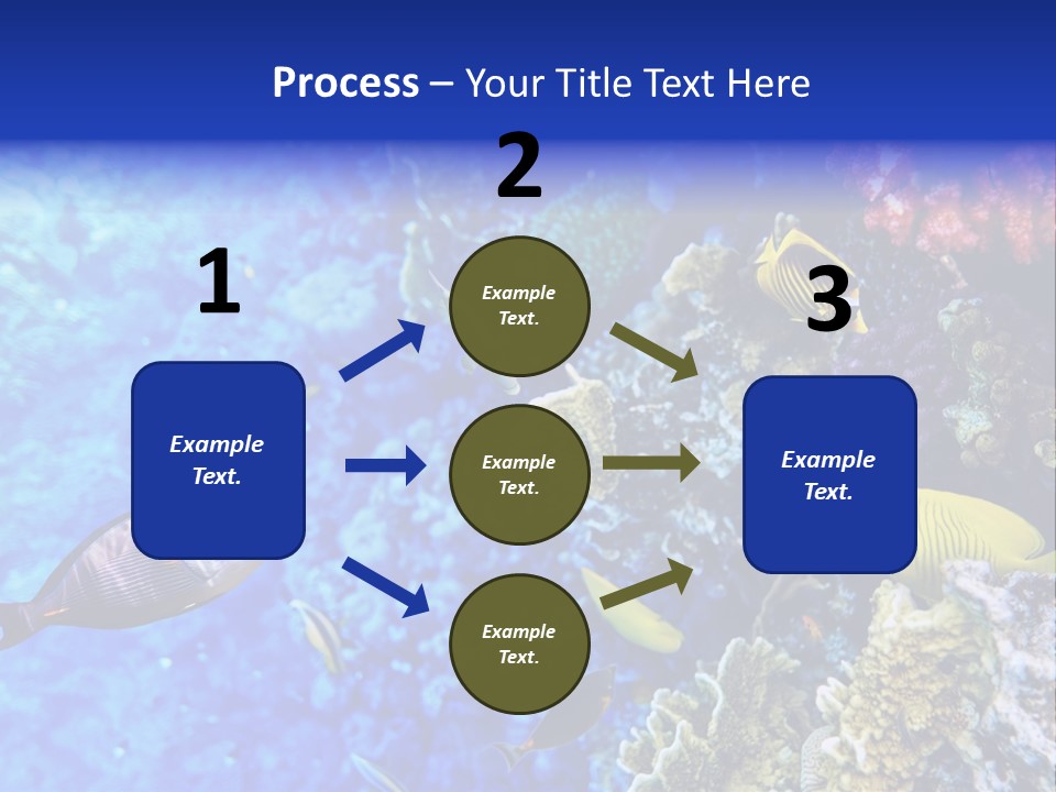 Wild Aquatic Tropic PowerPoint Template