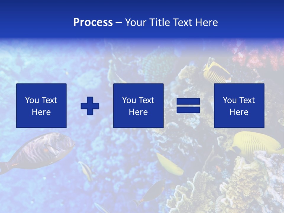 Wild Aquatic Tropic PowerPoint Template