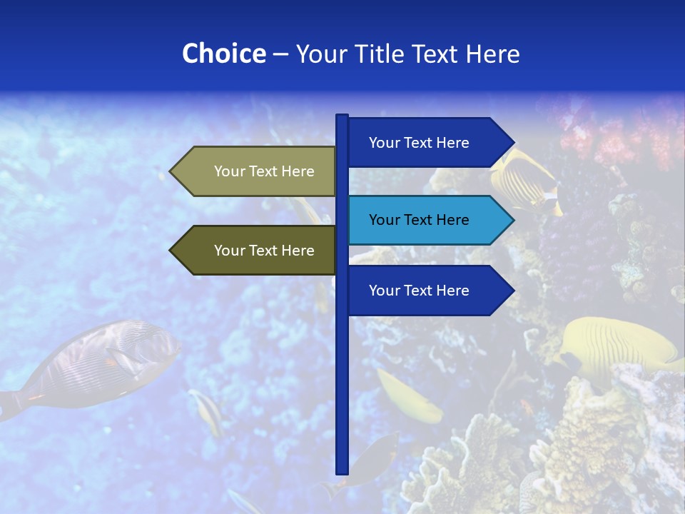 Wild Aquatic Tropic PowerPoint Template