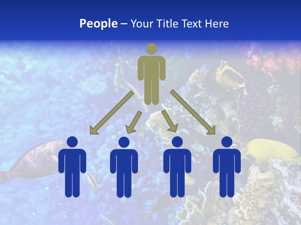 Wild Aquatic Tropic PowerPoint Template