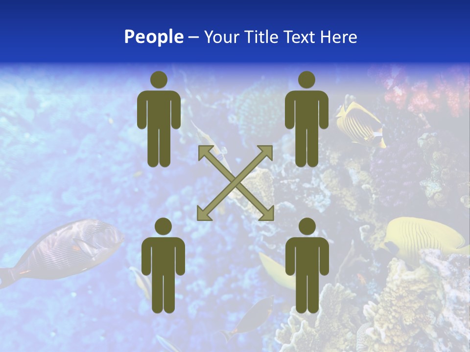 Wild Aquatic Tropic PowerPoint Template