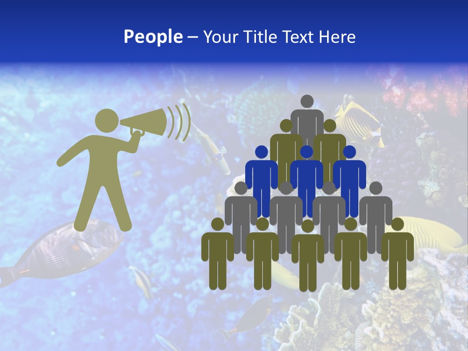 Wild Aquatic Tropic PowerPoint Template