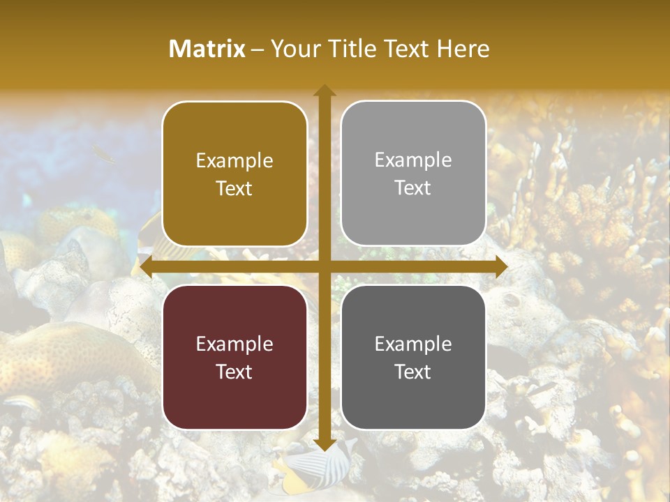 Under Scuba Brownish PowerPoint Template