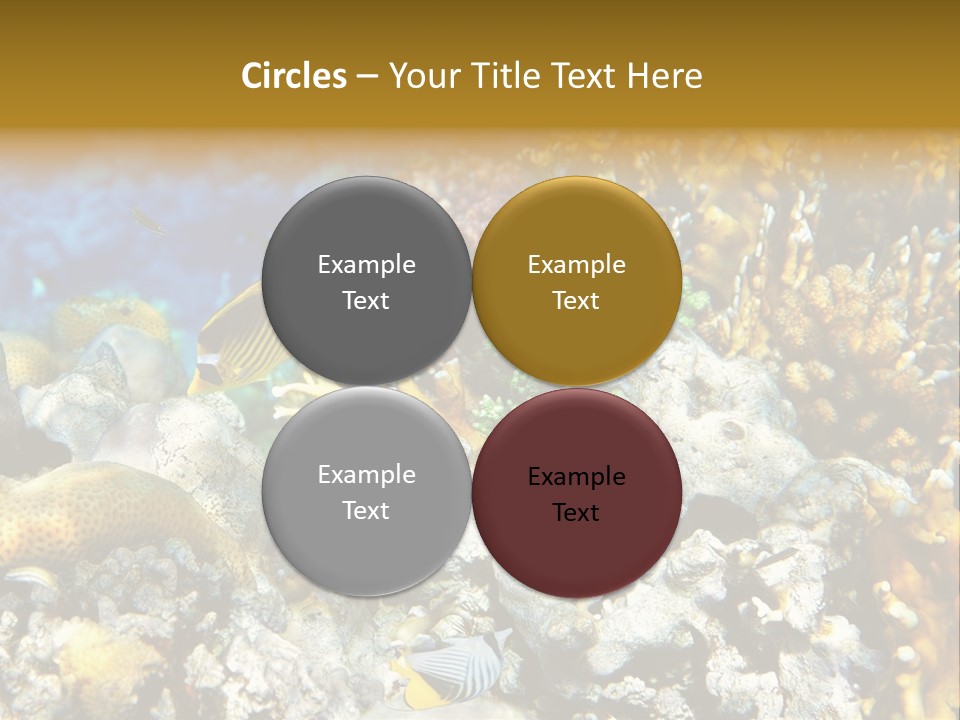 Under Scuba Brownish PowerPoint Template