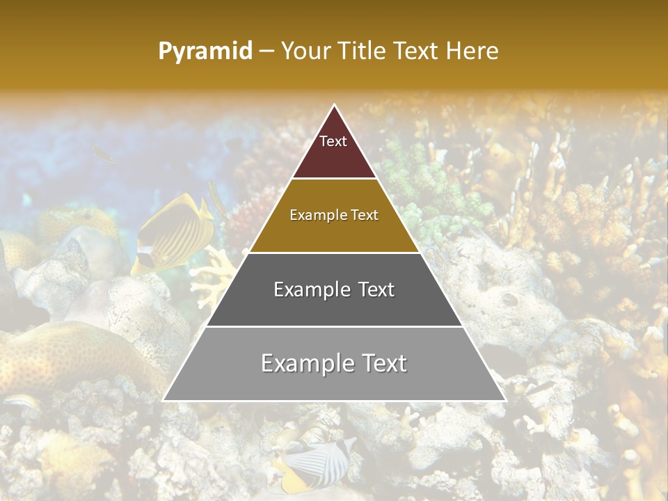 Under Scuba Brownish PowerPoint Template