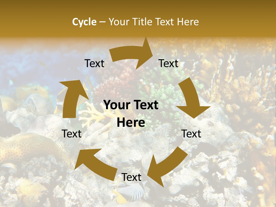 Under Scuba Brownish PowerPoint Template