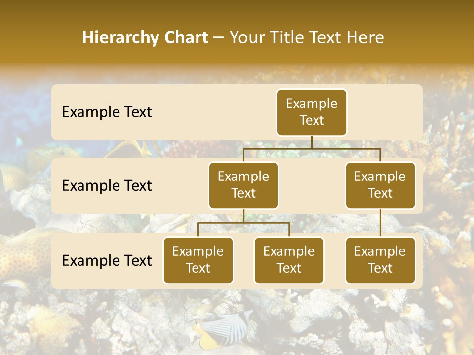 Under Scuba Brownish PowerPoint Template