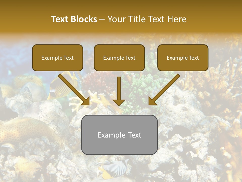 Under Scuba Brownish PowerPoint Template