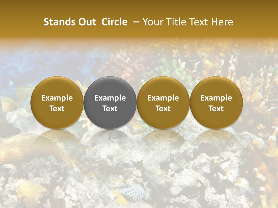 Under Scuba Brownish PowerPoint Template