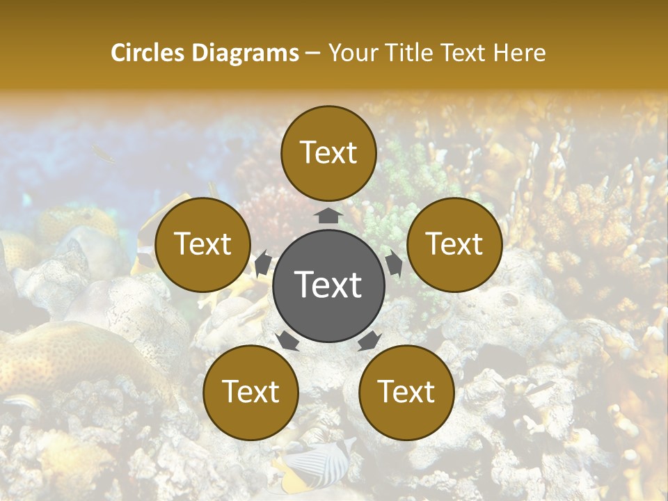 Under Scuba Brownish PowerPoint Template