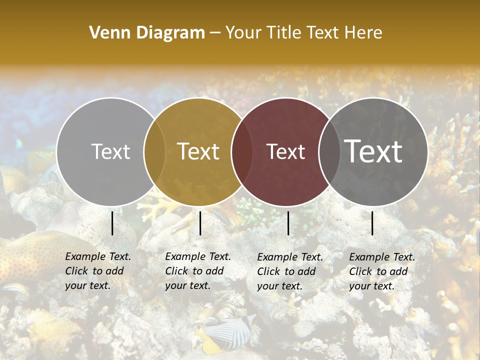 Under Scuba Brownish PowerPoint Template